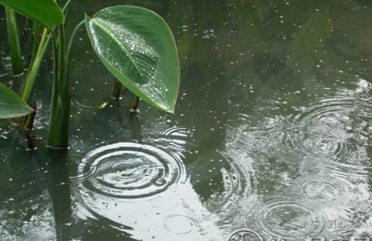 2016年上海入梅时间1