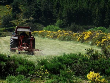 喀斯和塞文--地中海农牧文化景观