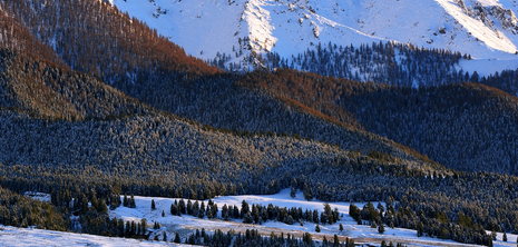 新疆哈密初夏雪景1