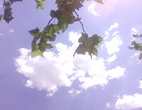 2016年初伏时间1