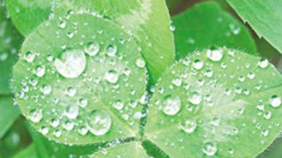 2016年黄梅天是几月1