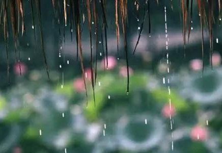 2016黄梅天是几月1