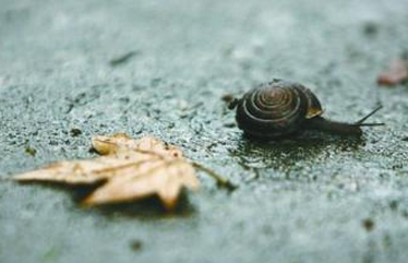 2016黄梅天是什么时候1