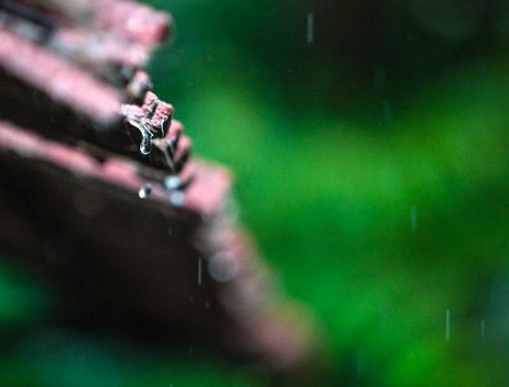 2016无锡入梅时间1