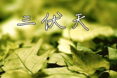 2016初伏是哪一天1