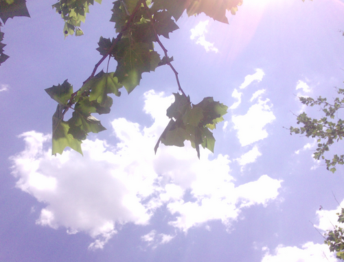 2016年一伏是几号1