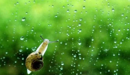 2016年无锡梅雨季节持续多久1