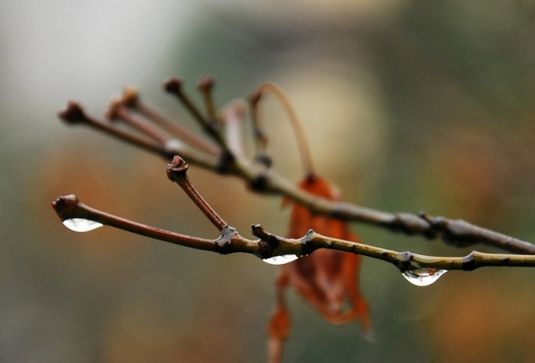 2016年苏州梅雨季节是什么时候1