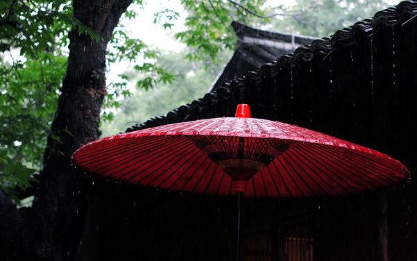 2016南京梅雨季节是什么时候1