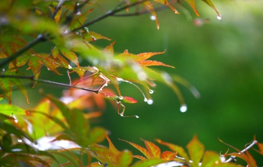 宁波梅雨季节什么时候开始1