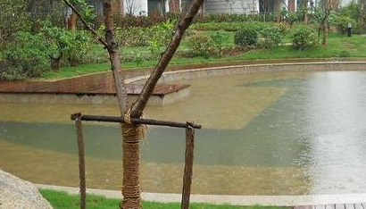 2016年南京梅雨季节是什么时候1