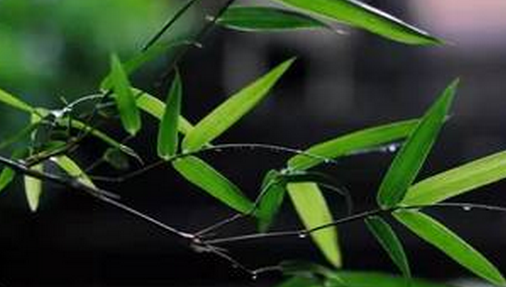 2016宁波入梅了吗1