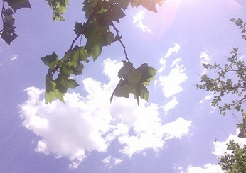 三伏天怎么去湿气1