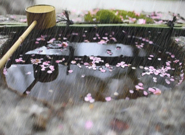 2016年合肥梅雨季节时间1