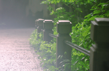 杭州梅雨季节持续多久1