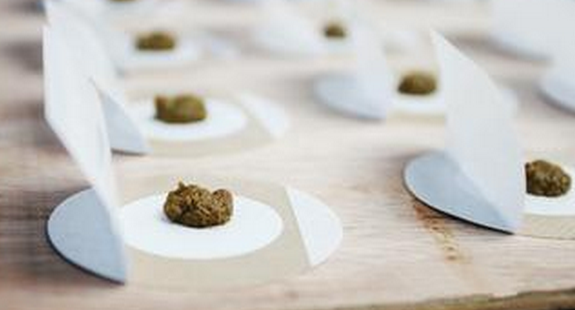 2016年三伏贴时间1