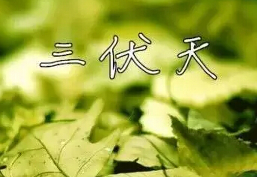 2016三伏天灸时间1