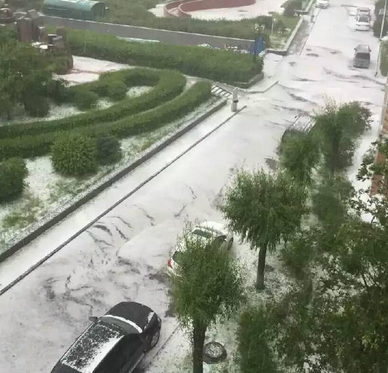 哈尔滨遭暴雨袭击1