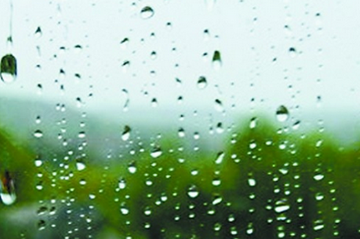 2016年何时出梅1