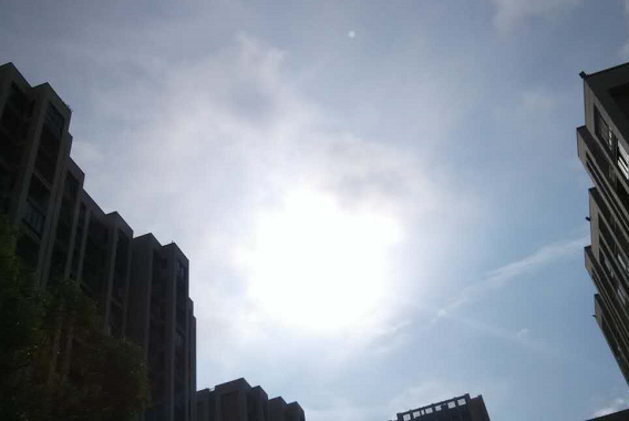 2016年的初伏是哪天1