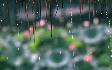 2016年湖北梅雨季节是什么时候1