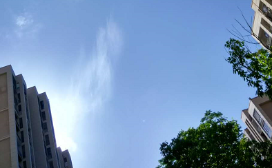 2016年从哪天开始数伏1