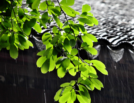 湖北梅雨季节是几月份1