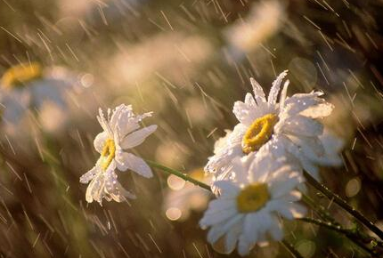 湖北梅雨季节是什么时候1