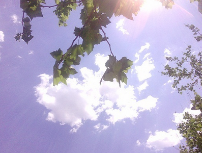 2016年暑伏时间1