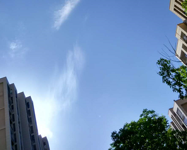 2016暑伏是哪一天1