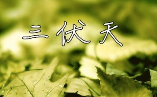 2016出伏是几号1