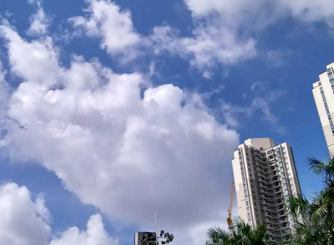 今天是数伏的第一天吗1