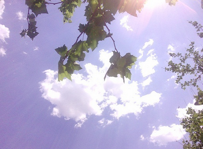 2016哪天开始进伏1