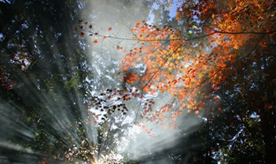 2016秋老虎是什么时候1