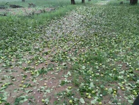 2016年北京冰雹最新消息1