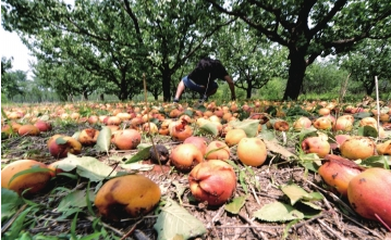 冰雹袭击大兴房山1