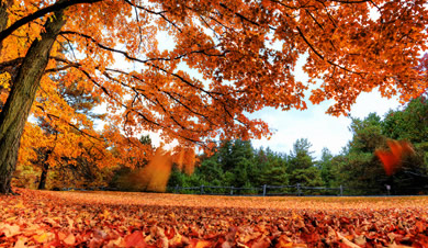 2016年秋老虎什么时候结束1