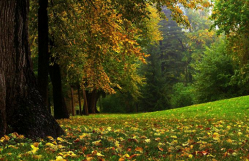 2016现在已经入秋了吗1