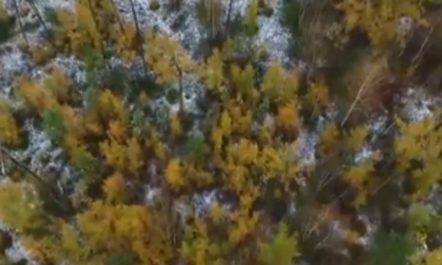 9.27黑龙江下雪最新消息1