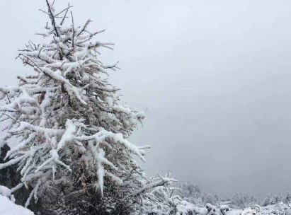 2016年10月9日陕西太白山下雪最新消息1
