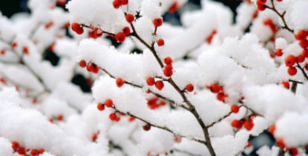 2016年什么时候进九1