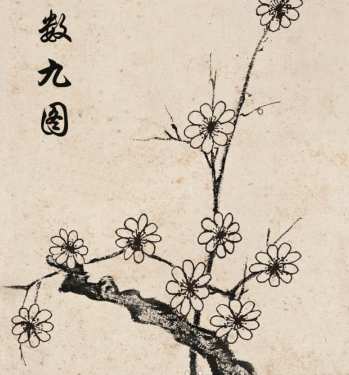 2016年数九从哪天开始1