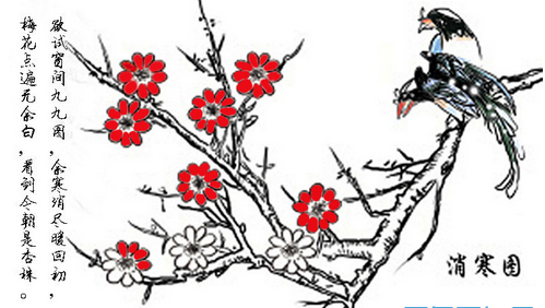 2016年数九从什么时候开始1