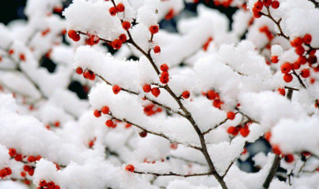 2016冬天什么时候开始1