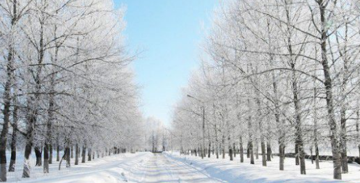 2016-2017数九时间表1