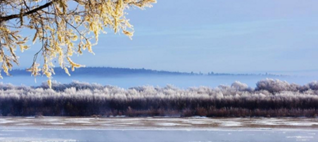 2016年冷冬还是暖冬1