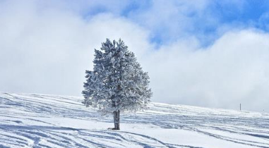 2017年一九从什么时候开始1