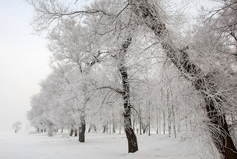 2017年三九时间表1
