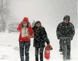 2017年三九天灸时间1