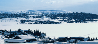 2017年三九天时间表1